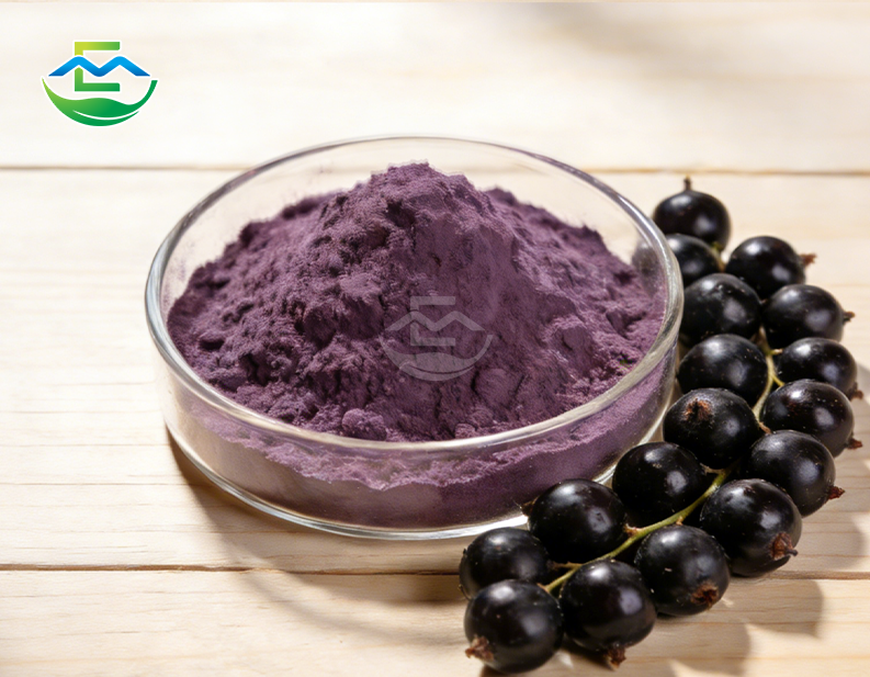 blackcurrant extract powder